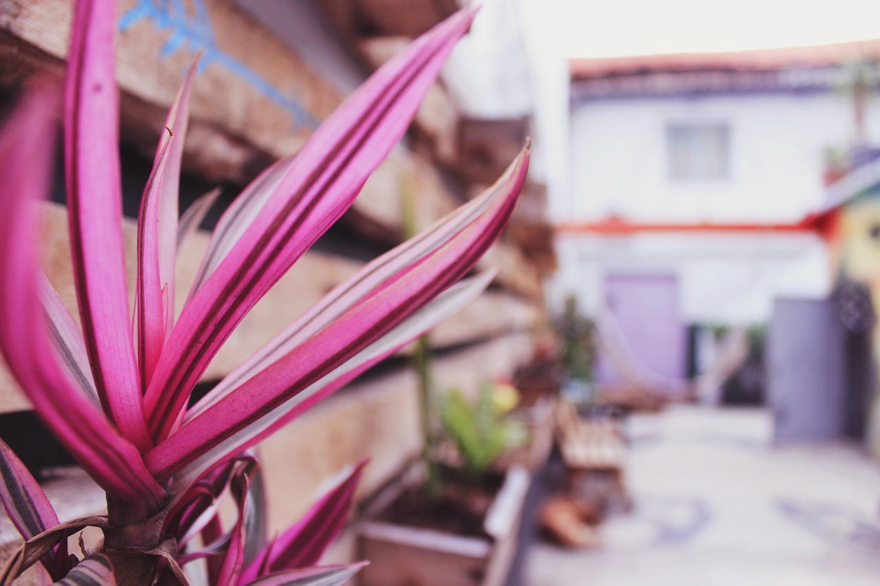 Central Hostel ริโอเดจาเนโร ภายนอก รูปภาพ
